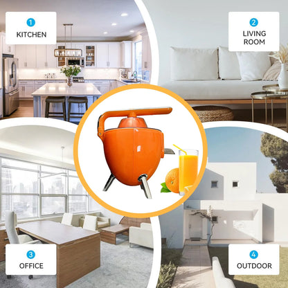 Electric Citrus Juicer Powerful 300W Orange Juice Maker with Handle Dishwasher